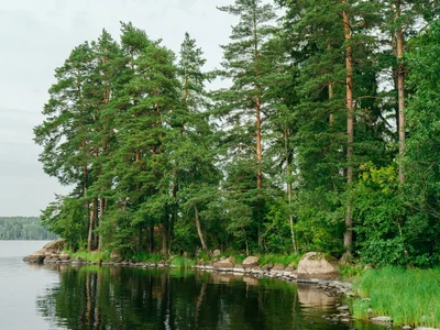 Wieś domków Sosnovyy plyazh