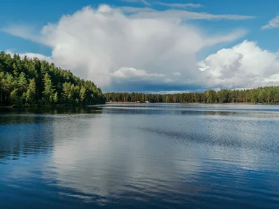 Wieś domków Krokusy