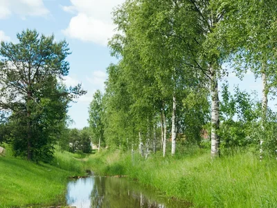 Village de chalets Korkinskiy Ruchey