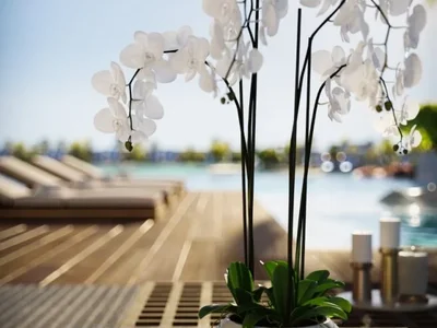 Villa D1W by Nakheel