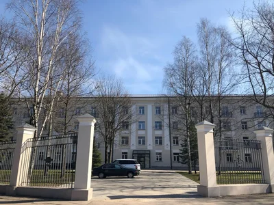 Commerce Zimeļblāzmas aleja
