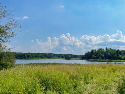  Pueblo de cabañas Vuoksaari