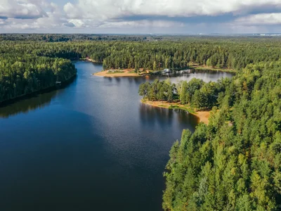 Wieś domków Krokusy